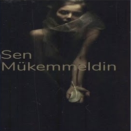 دانلود آلبوم Sen Mükemmeldin (2024) از Abdullah Kılıç