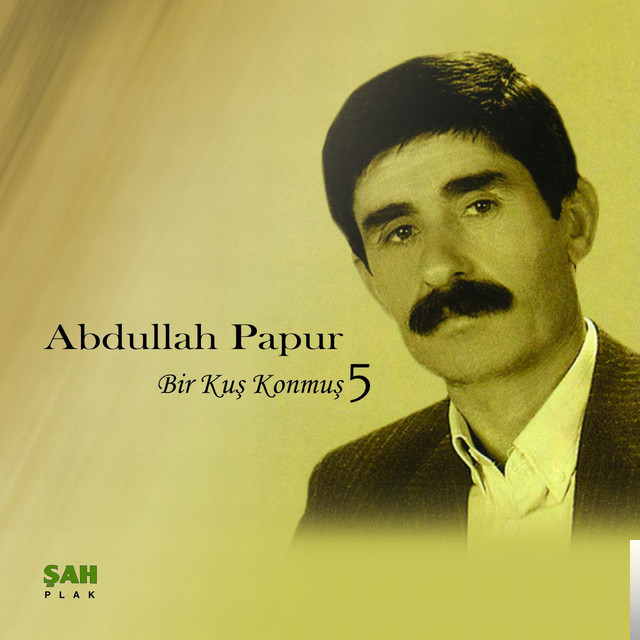 دانلود آلبوم Bir Kuş Konmuş (1971) از Abdullah Papur