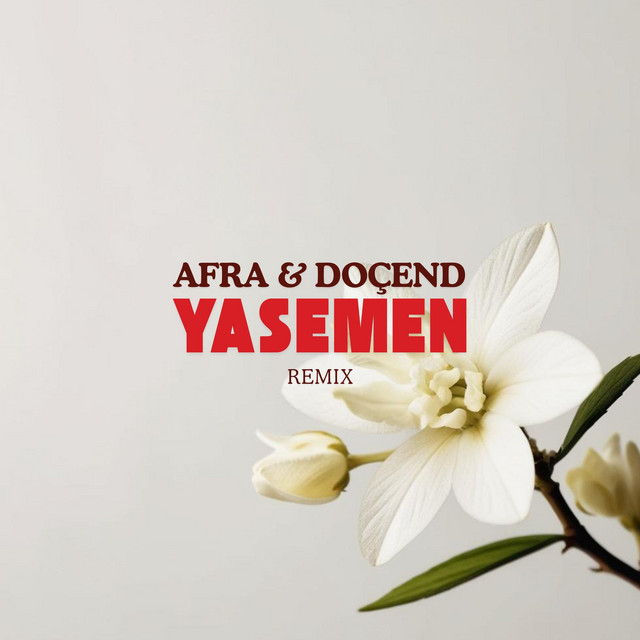 دانلود آلبوم Yasemen (2024) از Afra
