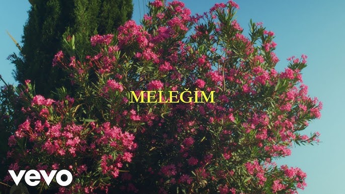 دانلود آلبوم Meleğim (2024) از Ahmet Hatipoğlu
