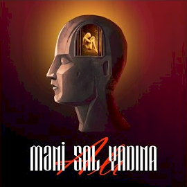 دانلود آلبوم Meni Sal Yadına (2024) از Ali