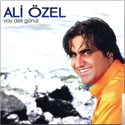 دانلود آلبوم Vay Deli Gönül (2010) از Ali Özel