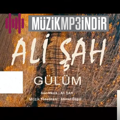 دانلود آلبوم Gülüm (2019) از Ali Şah