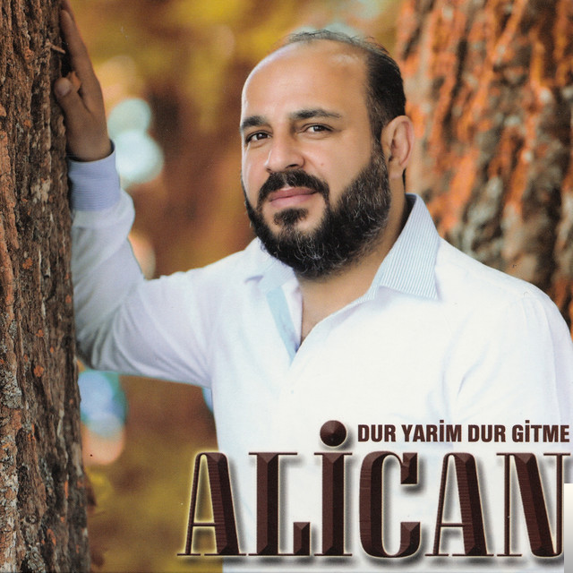 دانلود آلبوم Dur Yarim Gitme (2018) از Alican