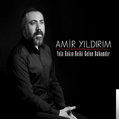 دانلود آلبوم Yola Bakın Belki Gelen Babamdır (2019) از Amir Yıldırım