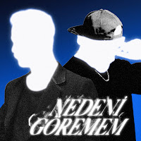دانلود آلبوم Nedeni Göremem (2024) از Anıl Piyancı