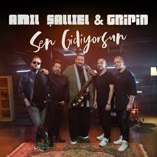 دانلود آلبوم Sen Gidiyorsun (2024) از Anıl Şallıel