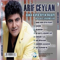 دانلود آلبوم Bana Kara Diyen Dilber (2018) از Arif Ceylan