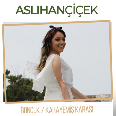 دانلود آلبوم Karayemiş Karası (2019) از Aslıhan Çiçek