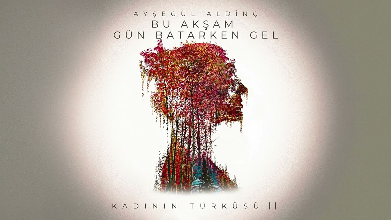 دانلود آلبوم Bu Akşam Gün Batarken Gel (2025) از Ayşegül Aldinç