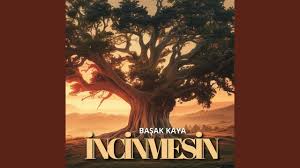 دانلود آلبوم İncinmesin (2024) از Başak Kaya