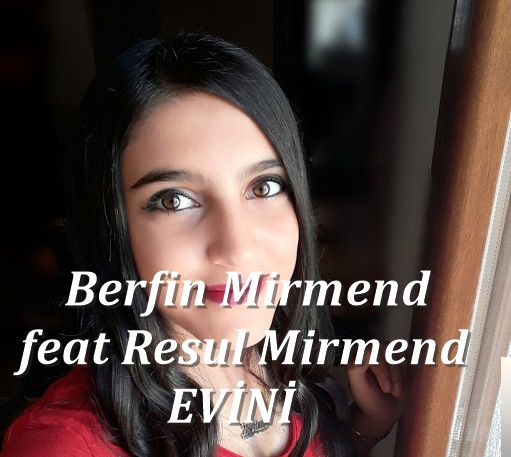 دانلود آلبوم Evini (2018) از Berfin Mirmend