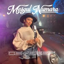 دانلود آلبوم Meşgul Numara (2024) از Ceybesk