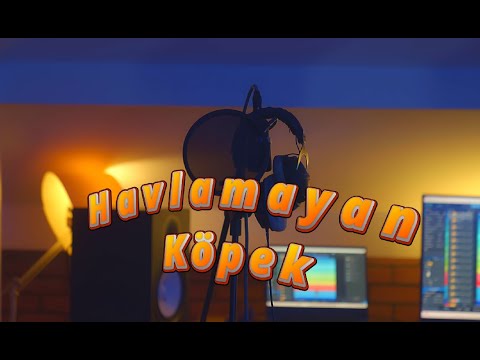 دانلود آلبوم HAVLAMAYAN KÖPEK (2025) از Decrat