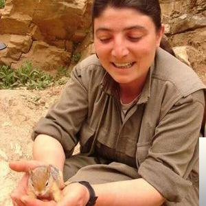 دانلود آلبوم Tüm Şarkılar از Delila