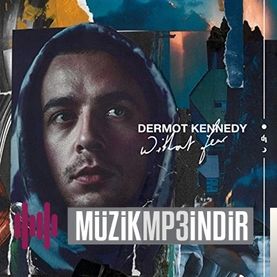 دانلود آلبوم Outnumbered (2019) از Dermot Kennedy