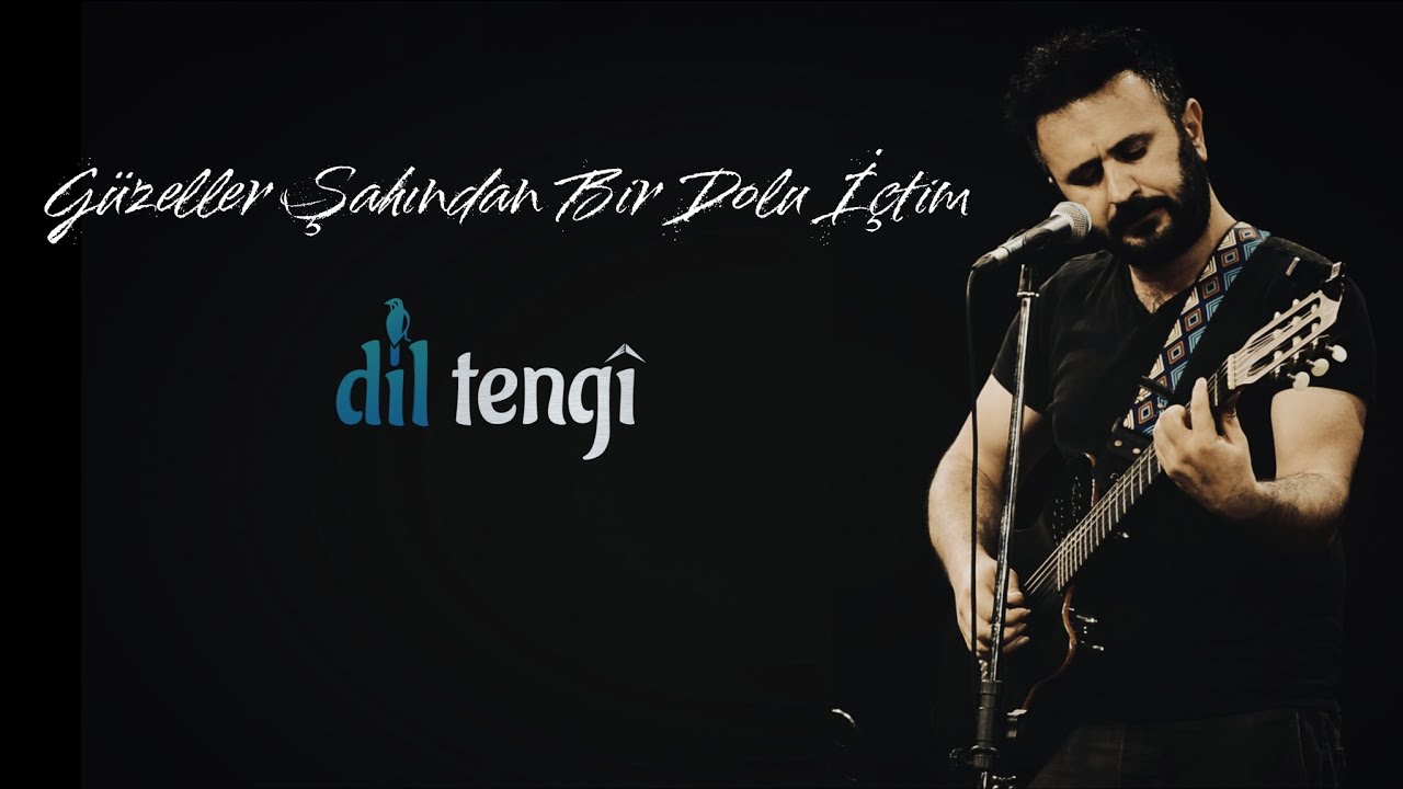 دانلود آلبوم Güzeller Şahından Bir Dolu İçtim (2024) از Dil Tengi