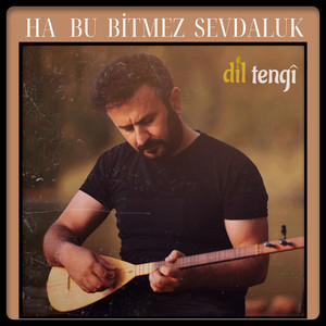دانلود آلبوم Ha Bu Bitmez Sevdaluk (2024) از Dil Tengi