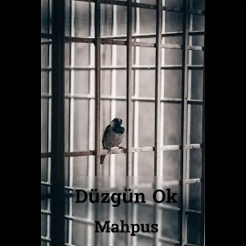 دانلود آلبوم Mahpus (2024) از Düzgün Ok
