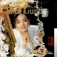 دانلود آلبوم Tanrı Misafiri (1993) از Ebru Gündeş