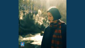 دانلود آلبوم Gidek Sılaya (2025) از Ebru Keleş