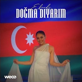 دانلود آلبوم Doğma Diyarım (2024) از Efendi