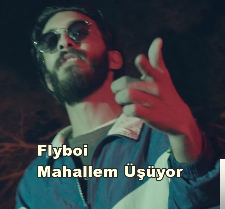 دانلود آلبوم Mahallem Üşüyor (2019) از Flyboi