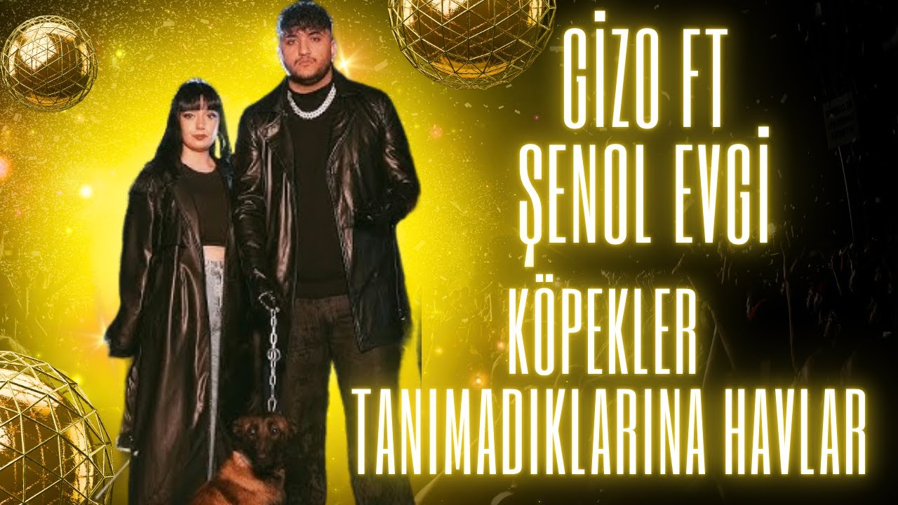 دانلود آلبوم Köpekler Tanımadıklarına havlar (2024) از Gizo