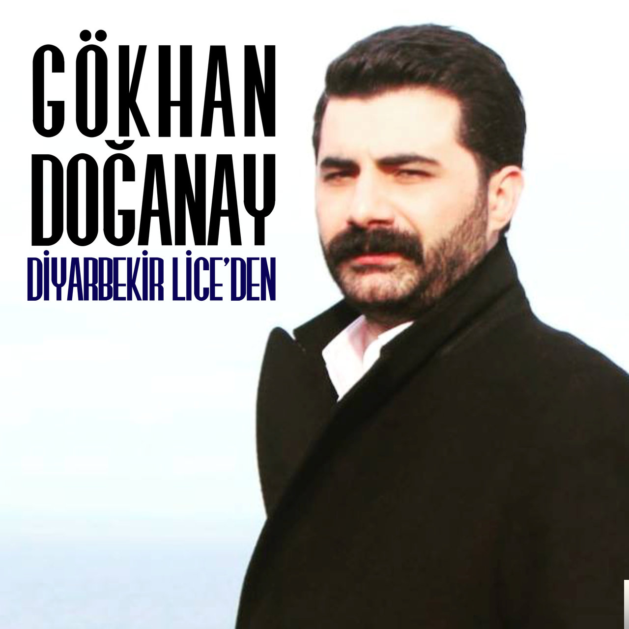 دانلود آلبوم Diyarbekir Lice'den (2019) از Gökhan Doğanay