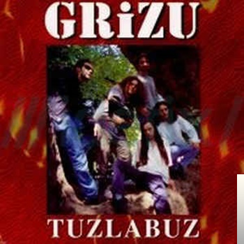 دانلود آلبوم Tuzla Buz (1996) از Grizu