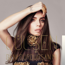 دانلود آلبوم Beni Durdursan mı (2013) از Gülşen