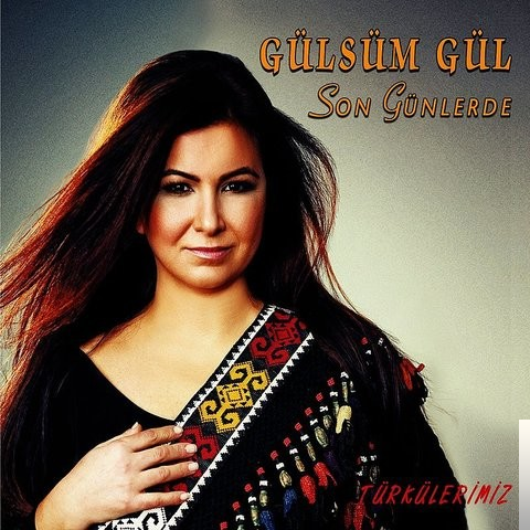 دانلود آلبوم Son Günlerde (2014) از Gülsüm Gül