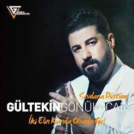 دانلود آلبوم Sevdana Düştüm İki Elin Kanda Olsa Da Gel (2024) از Gültekin Gönülaçar