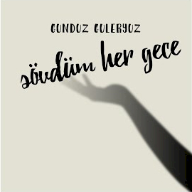دانلود آلبوم Sövdüm Her Gece (2024) از Gündüz Güleryüz