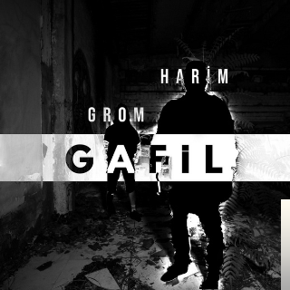 دانلود آلبوم Gafil (2019) از Harim