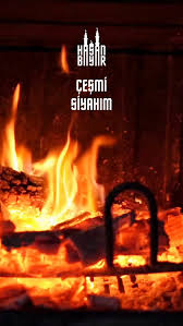 دانلود آلبوم Çeşmi Siyahım (2024) از Hasan Bayar