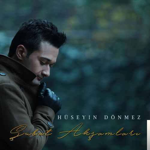 دانلود آلبوم Şubat Akşamları (2019) از Hüseyin Dönmez