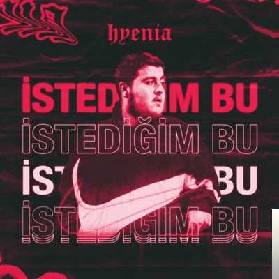 دانلود آلبوم İstediğim Bu (2020) از Hyenia