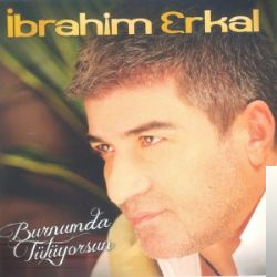 دانلود آلبوم Burnumda Tütüyorsun (2011) از İbrahim Erkal