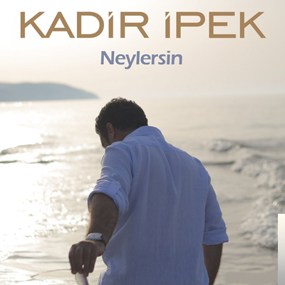 دانلود آلبوم Neylersin (2019) از Kadir İpek