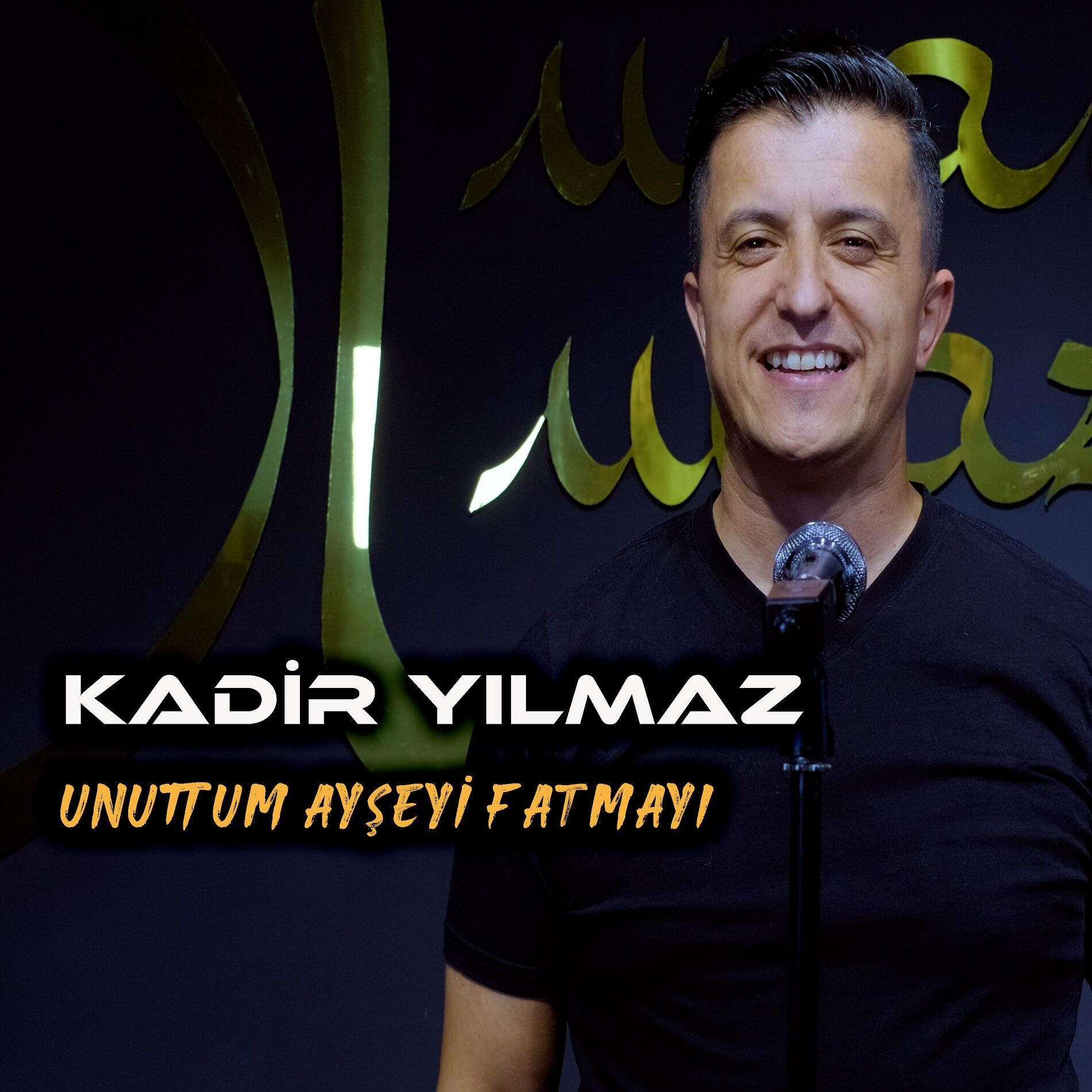 دانلود آلبوم Unuttum Ayşeyi Fatmayı (2024) از Kadir Yılmaz