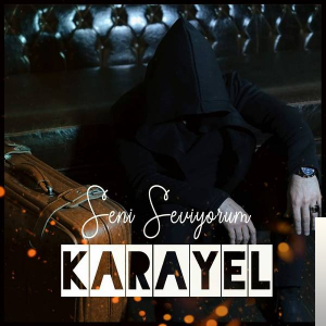 دانلود آلبوم Seni Seviyorum (2019) از Karayel