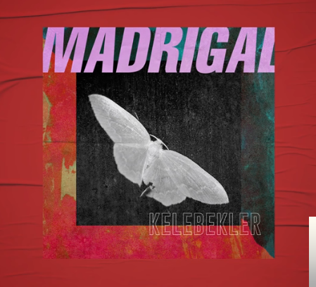 دانلود آلبوم Kelebekler (2019) از Madrigal