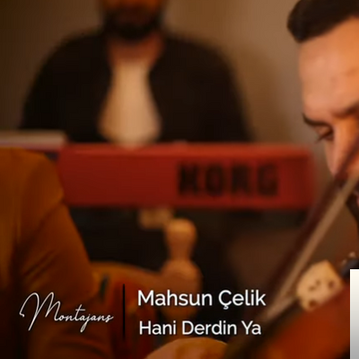 دانلود آلبوم Hani Derdin Ya (2019) از Mahsun Çelik