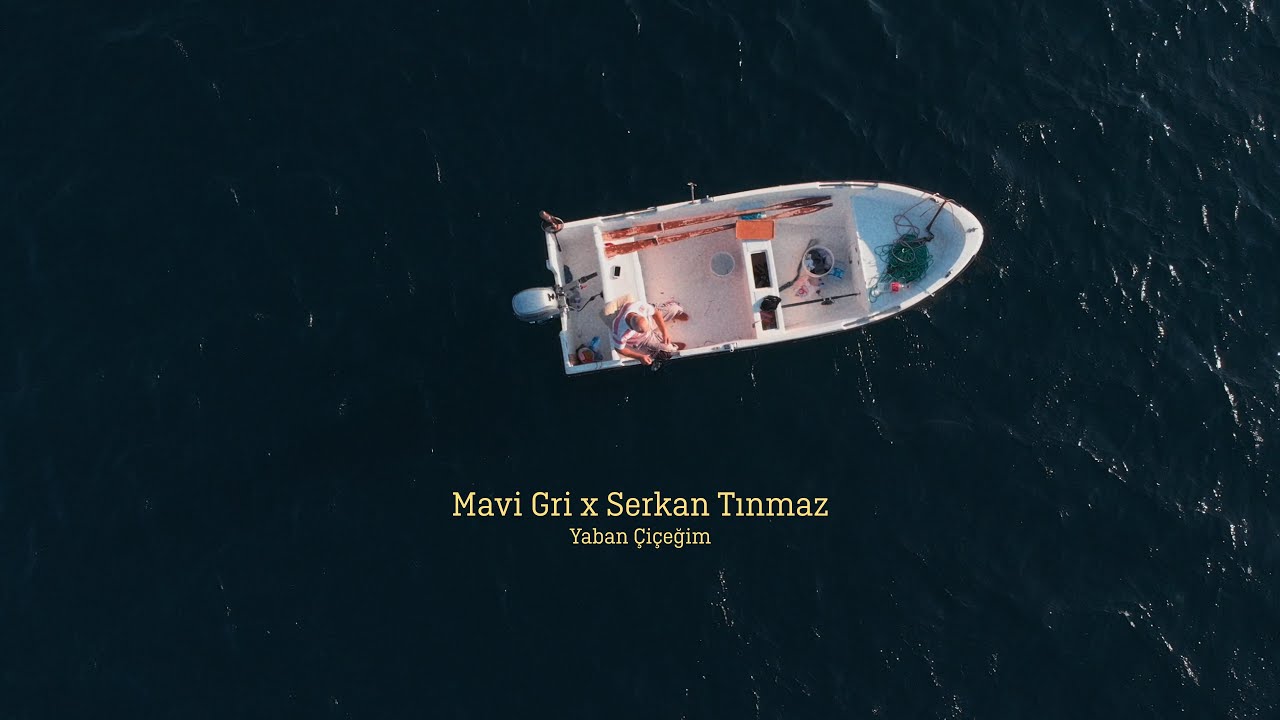 دانلود آلبوم Yaban Çiçeğim (2024) از Mavi Gri