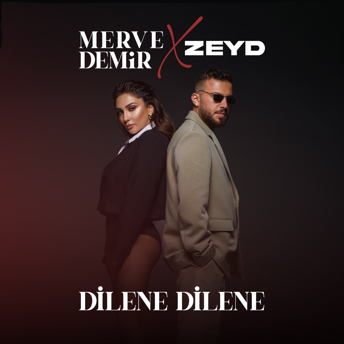 دانلود آلبوم Dilene Dilene (2024) از Merve Demir