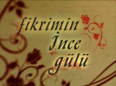 دانلود آلبوم Fikrimin İnce Gülu (2024) از Mishari Rashed Alafasy