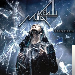 دانلود آلبوم Gümüş Teller (2013) از Murat Kekilli
