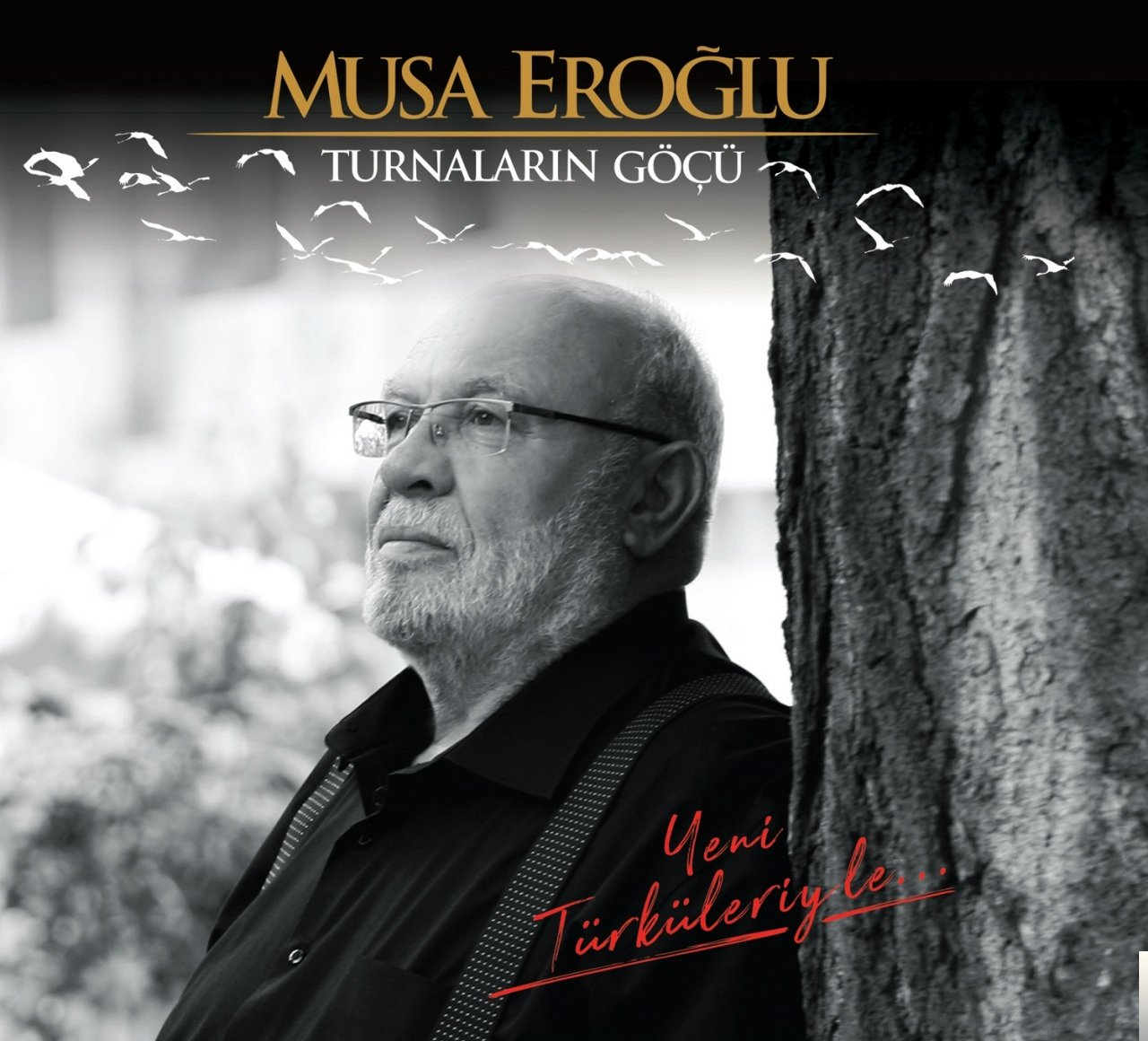 دانلود آلبوم Turnaların Göçü (2018) از Musa Eroğlu