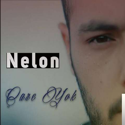 دانلود آلبوم Çare Yok (2020) از Nelon